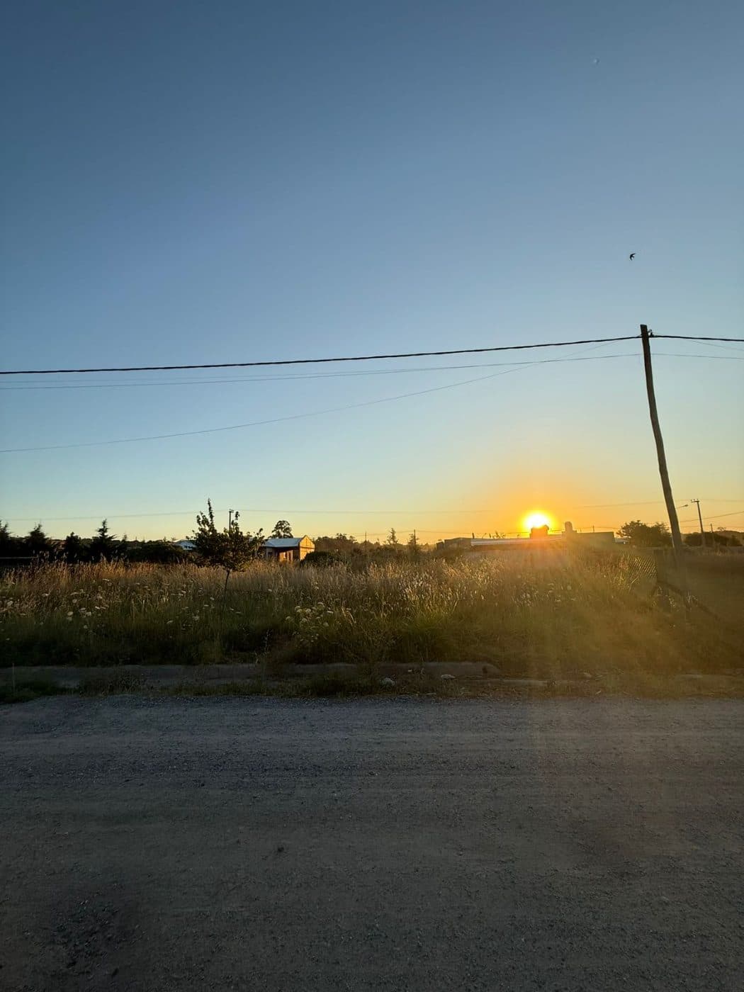 Los pensamientos 2100, Tandil