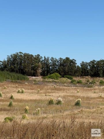 Cerro Leones, Tandil