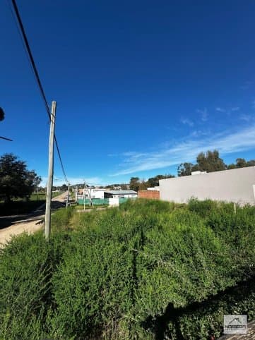 Argerich 410, Tandil